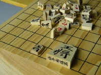 将棋中継解説者・聞き手ランキング